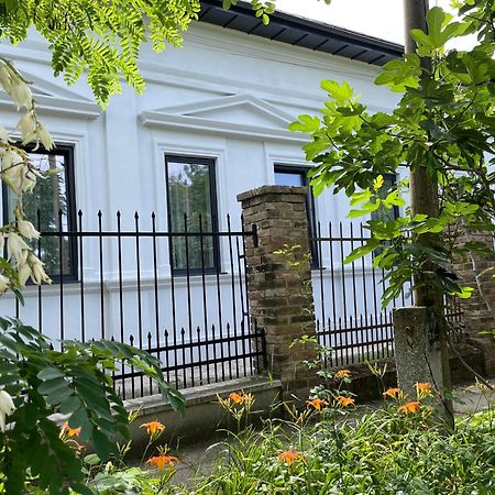 Wagner Villa 902 With Free Private Parking Budapest Eksteriør bilde