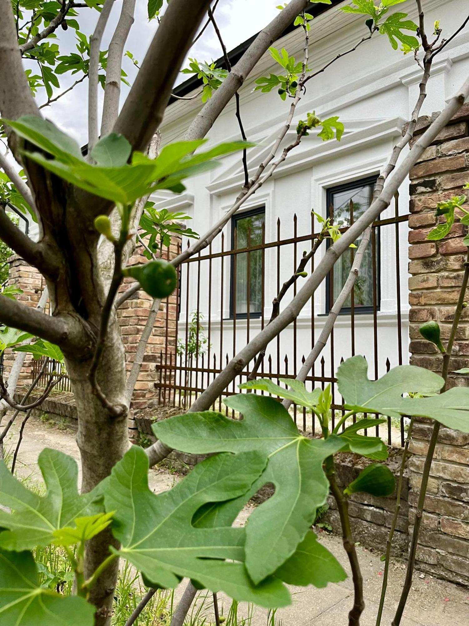 Wagner Villa 902 With Free Private Parking Budapest Eksteriør bilde
