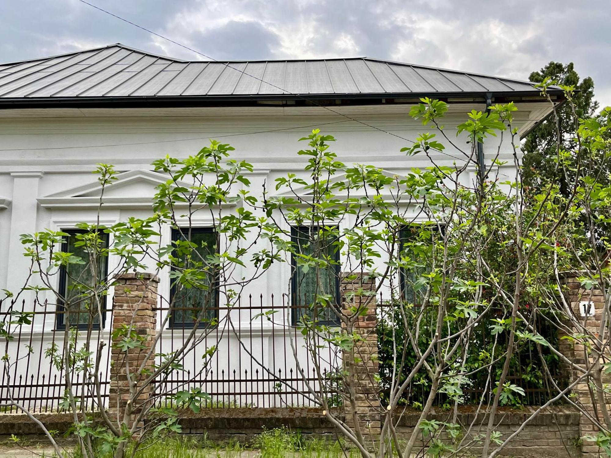 Wagner Villa 902 With Free Private Parking Budapest Eksteriør bilde